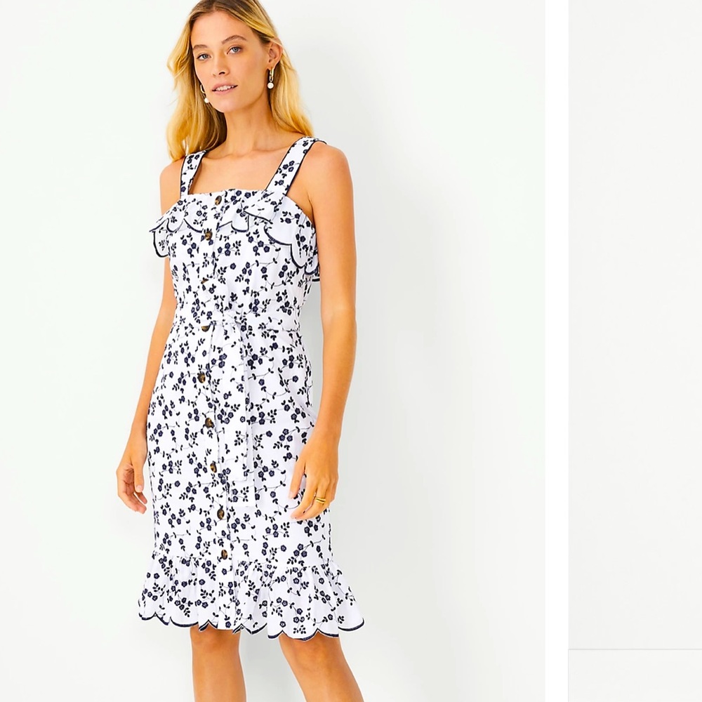 Ann Taylor Floral Embroidered Sheath Dress